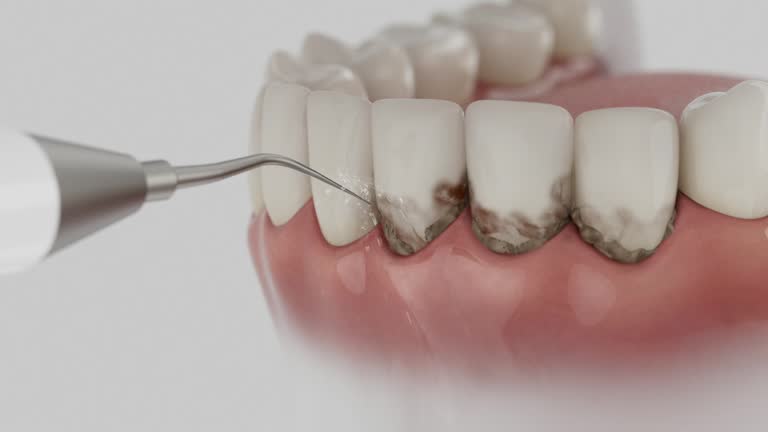 Reliable Dental contractor in Marlboro Village, MD by Dentist Open Now
